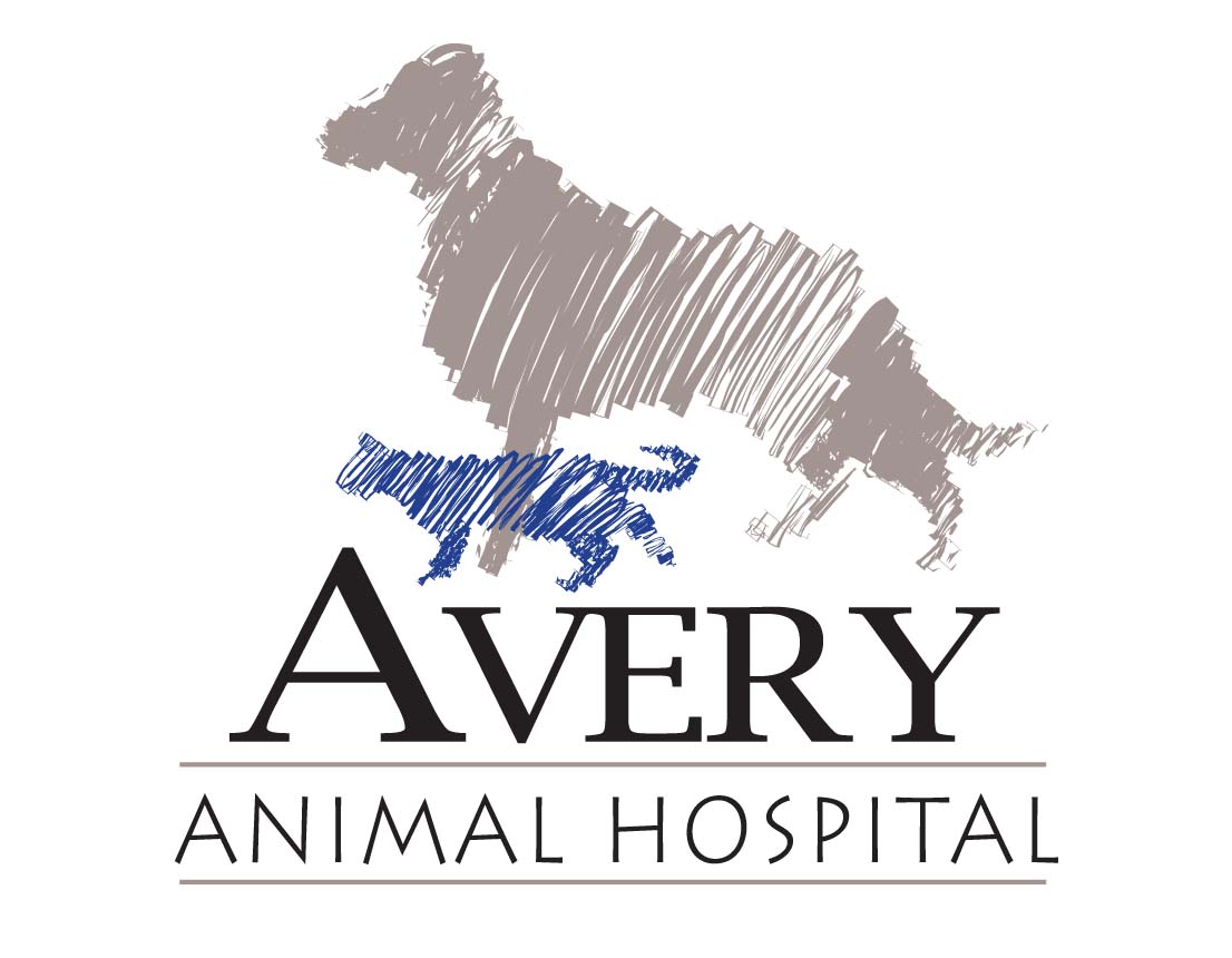 Welcome To Avery Animal Hospital - Book Your Visit Today! Welcome To Avery Animal Hospital - Book Your Visit Today!