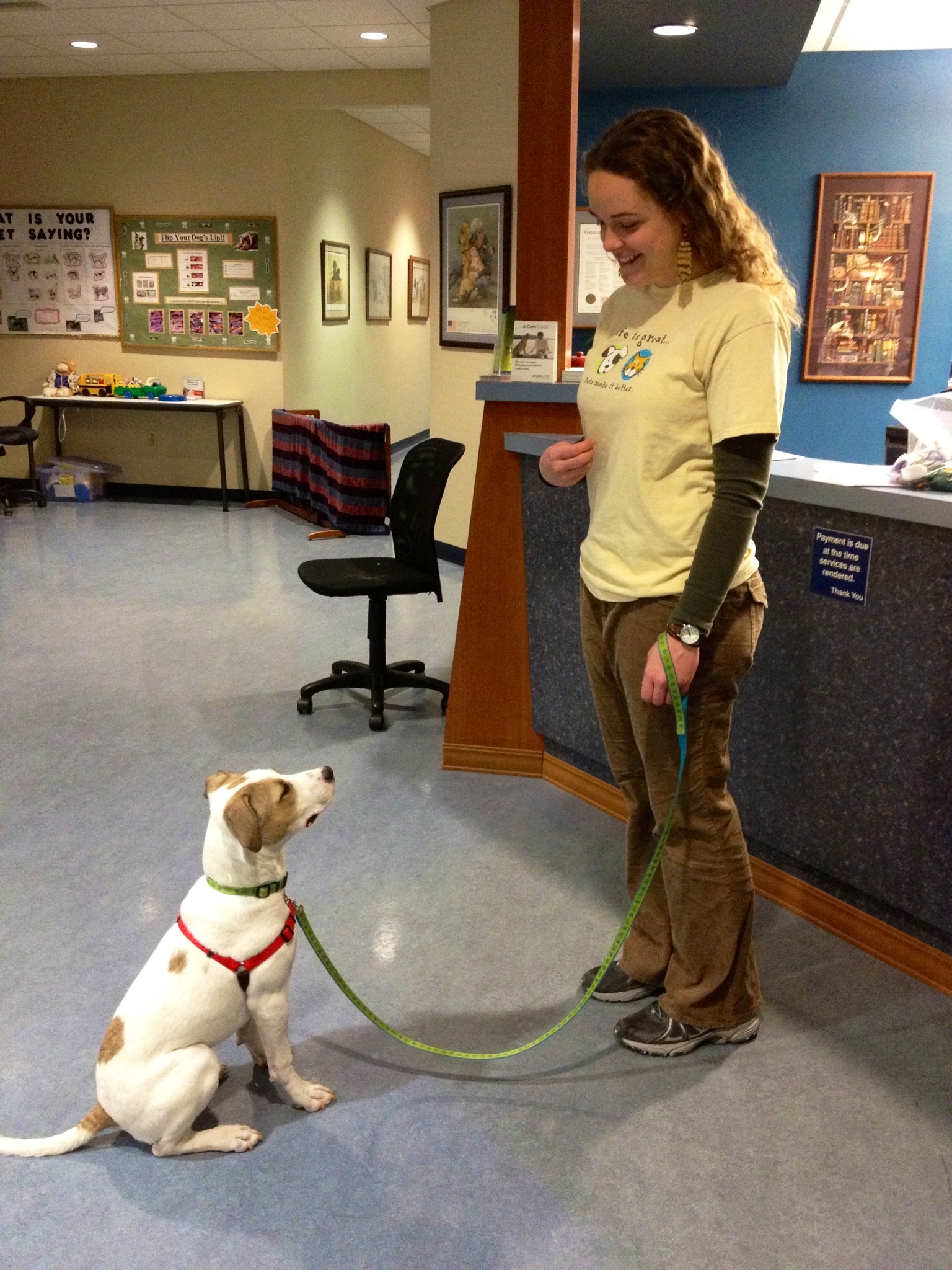 dmsf3mor Puppy Kindergarten at Avery Animal Hospital