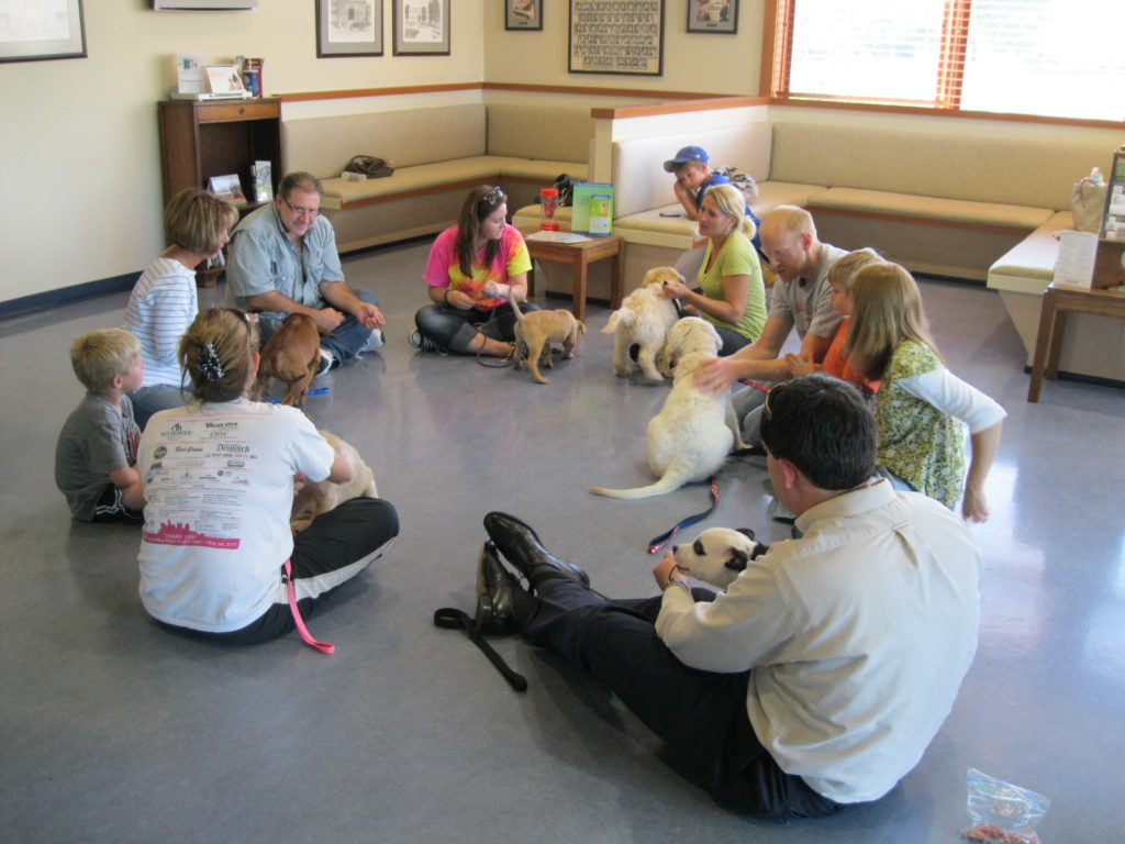 Pet owners sitting with their puppies at puppy preschool