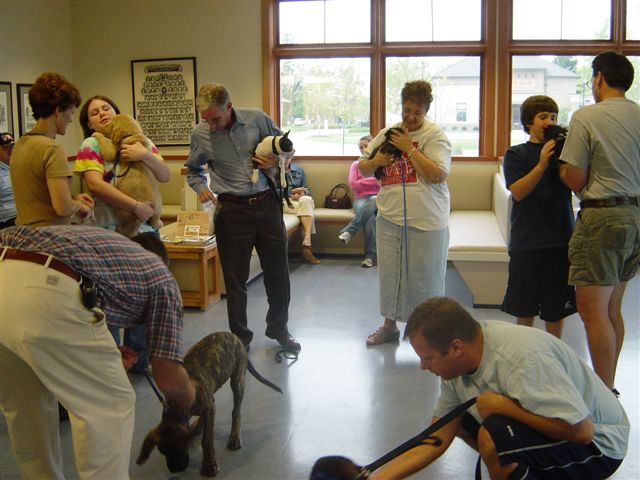 Pet owners holding their puppies at puppy preschool